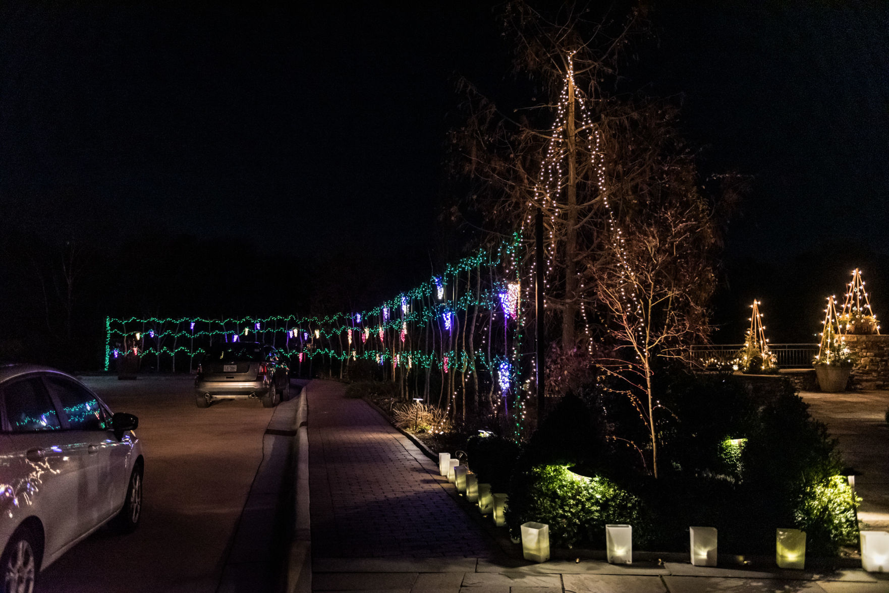 Ciener Garden Tulip Holiday Blooms Light Display